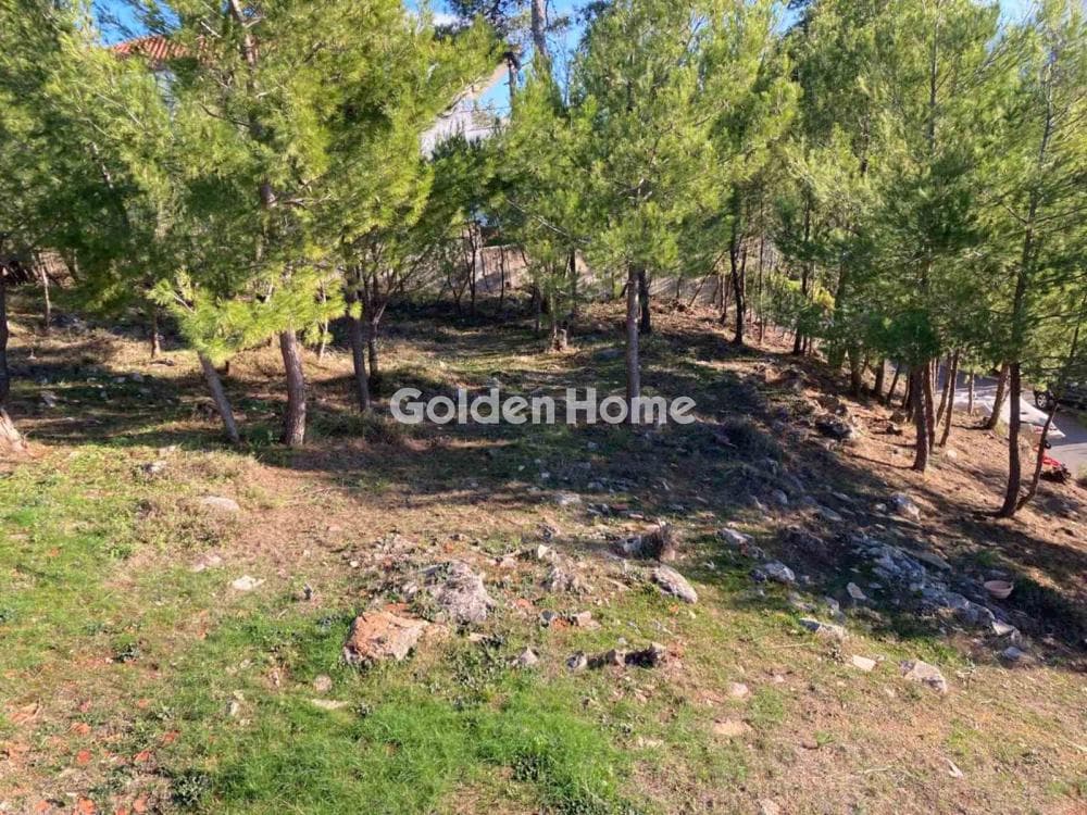 Building Plot in Rodopoli, Rodopoli — Photo 1 of 3