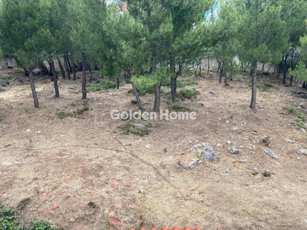 Building Plot in Rodopoli, Rodopoli — Photo 2 of 3