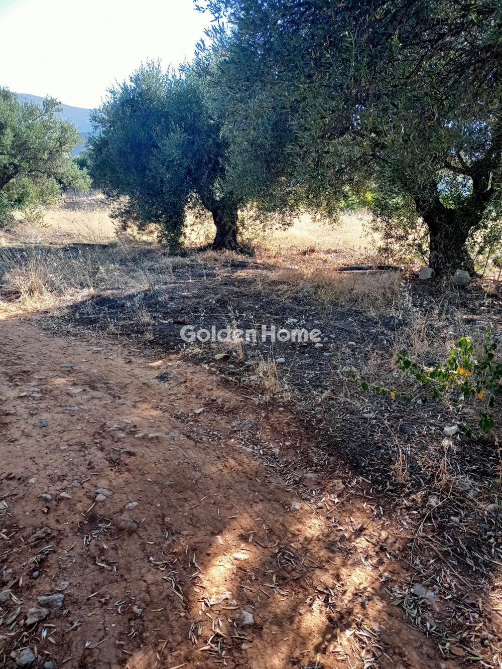 Building Plot in Center, Mallia — Photo 2 of 6