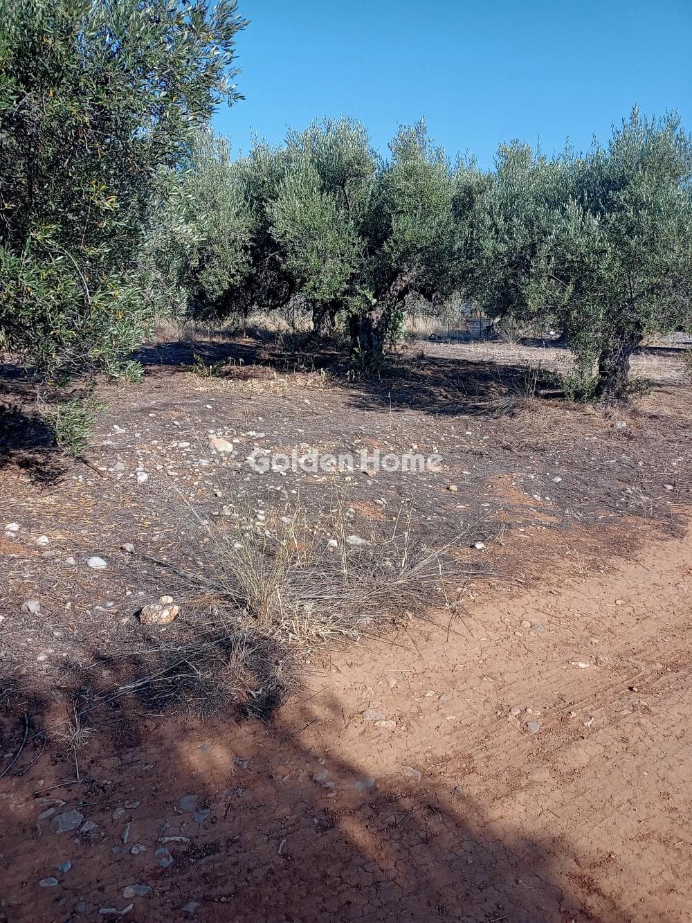 Building Plot in Center, Mallia — Photo 4 of 6