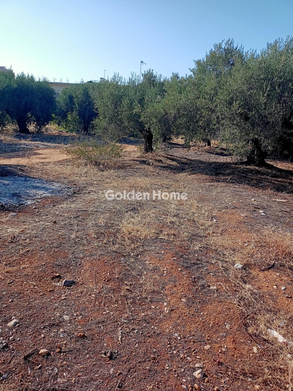 Building Plot in Center, Mallia — Photo 5 of 6
