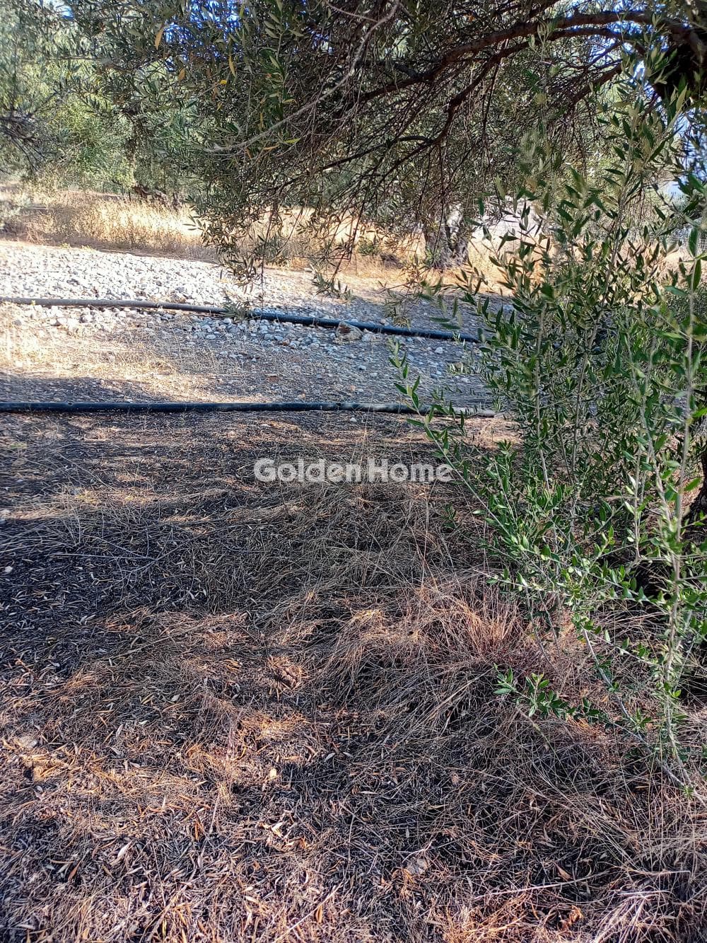 Building Plot in Center, Mallia — Photo 6 of 6