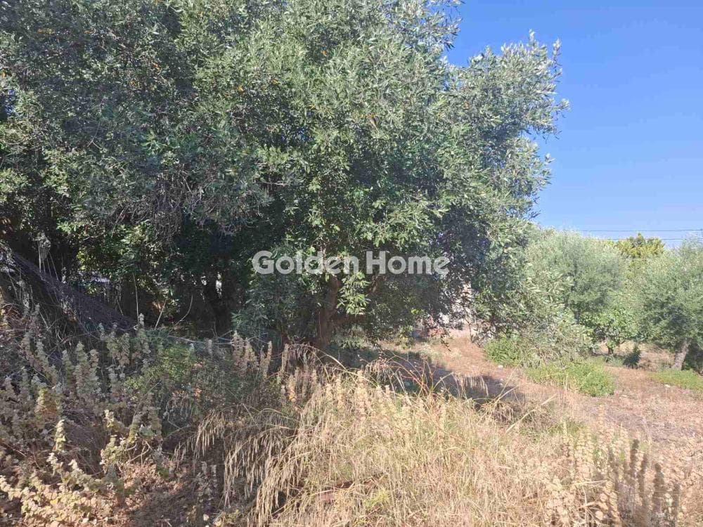 Building Plot in Kseno, Salamina — Photo 1 of 2