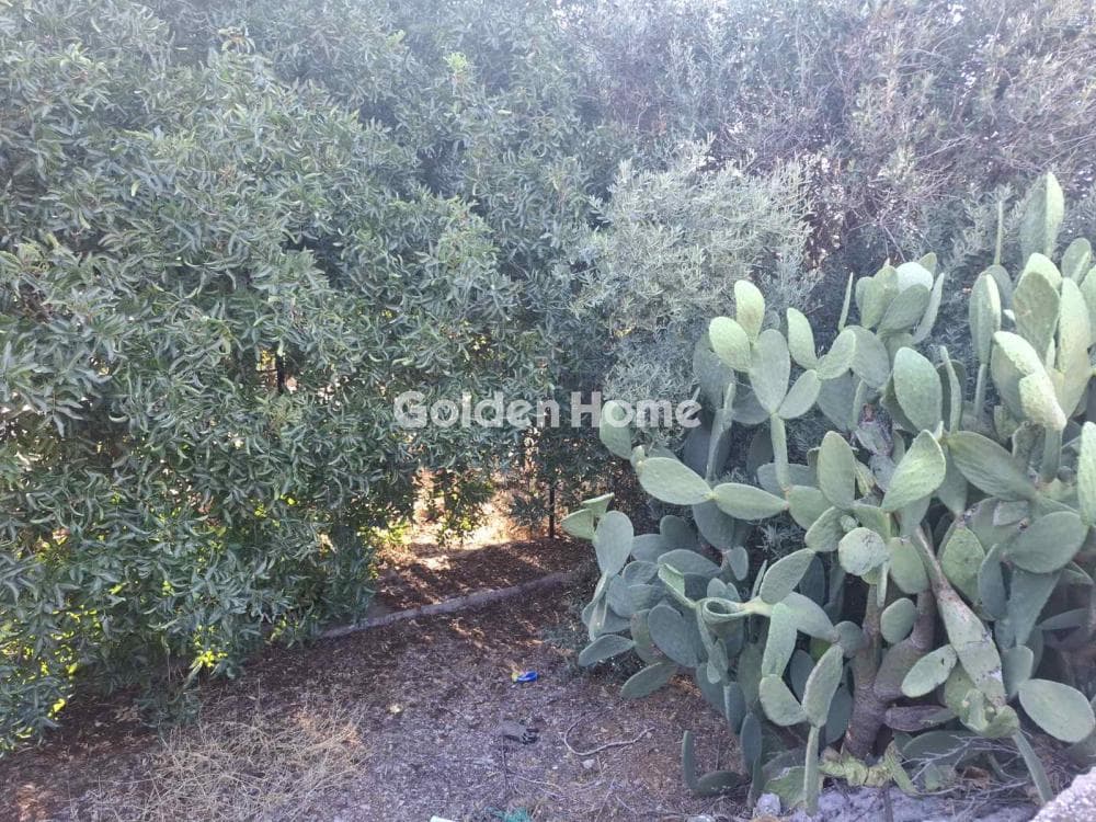 Building Plot in Agios Athanasios, Salamina — Photo 3 of 9