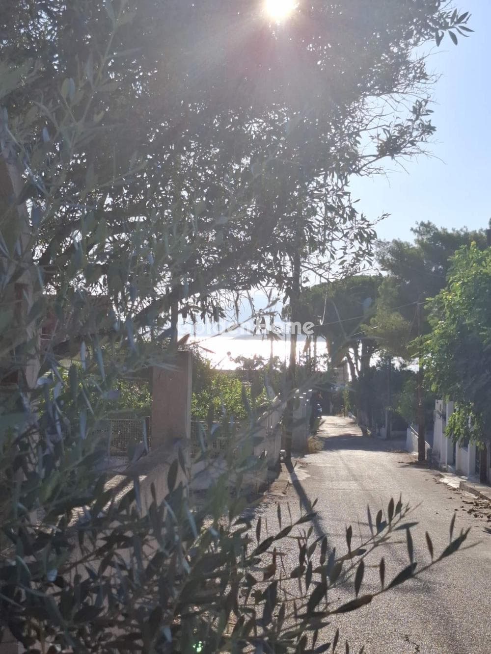 Building Plot in Agios Athanasios, Salamina — Photo 2 of 9