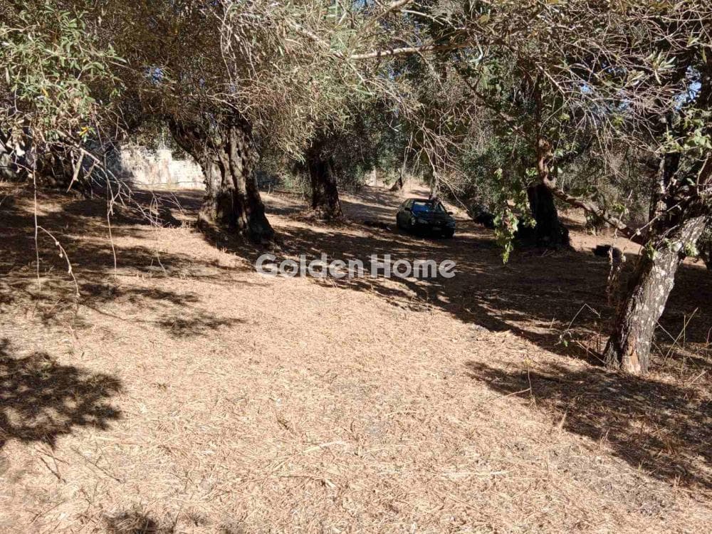 Οικόπεδο στην Φαίακες, Κέρκυρα — Φωτογραφία 7 από 13