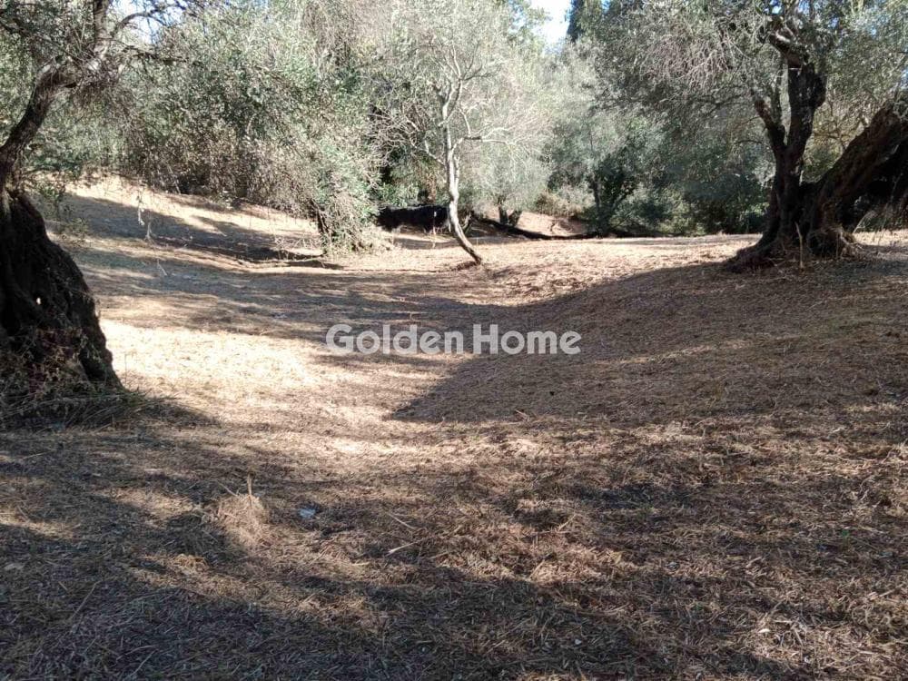 Οικόπεδο στην Φαίακες, Κέρκυρα — Φωτογραφία 2 από 18