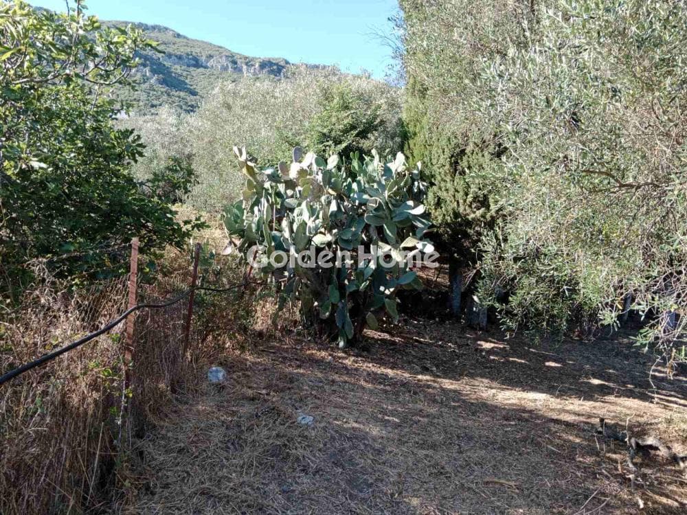 Οικόπεδο στην Φαίακες, Κέρκυρα — Φωτογραφία 7 από 18