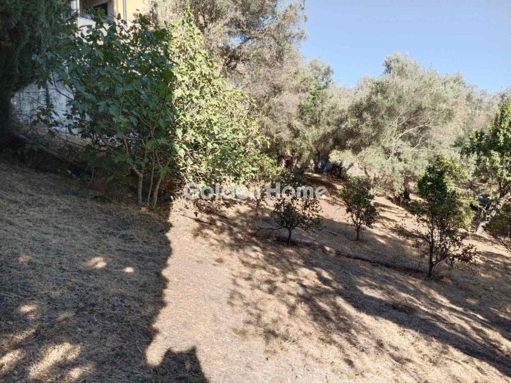 Οικόπεδο στην Φαίακες, Κέρκυρα — Φωτογραφία 12 από 18