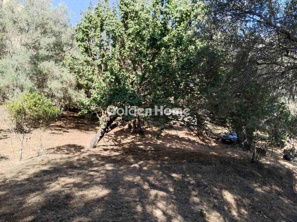 Οικόπεδο στην Φαίακες, Κέρκυρα — Φωτογραφία 15 από 18