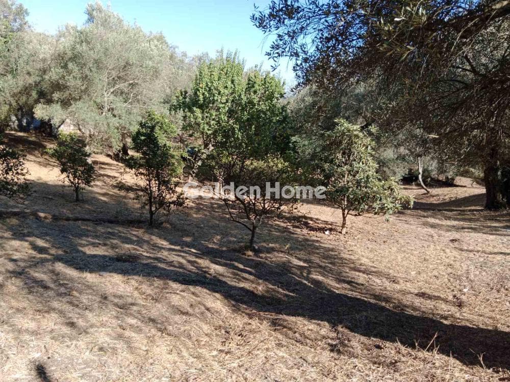 Οικόπεδο στην Φαίακες, Κέρκυρα — Φωτογραφία 1 από 18
