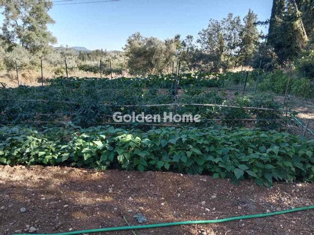 Οικόπεδο στην Φαίακες, Κέρκυρα — Φωτογραφία 18 από 18