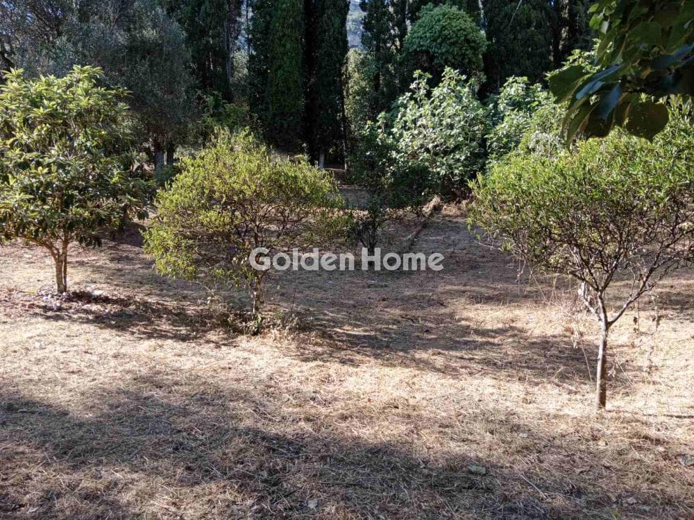 Οικόπεδο στην Φαίακες, Κέρκυρα — Φωτογραφία 10 από 18
