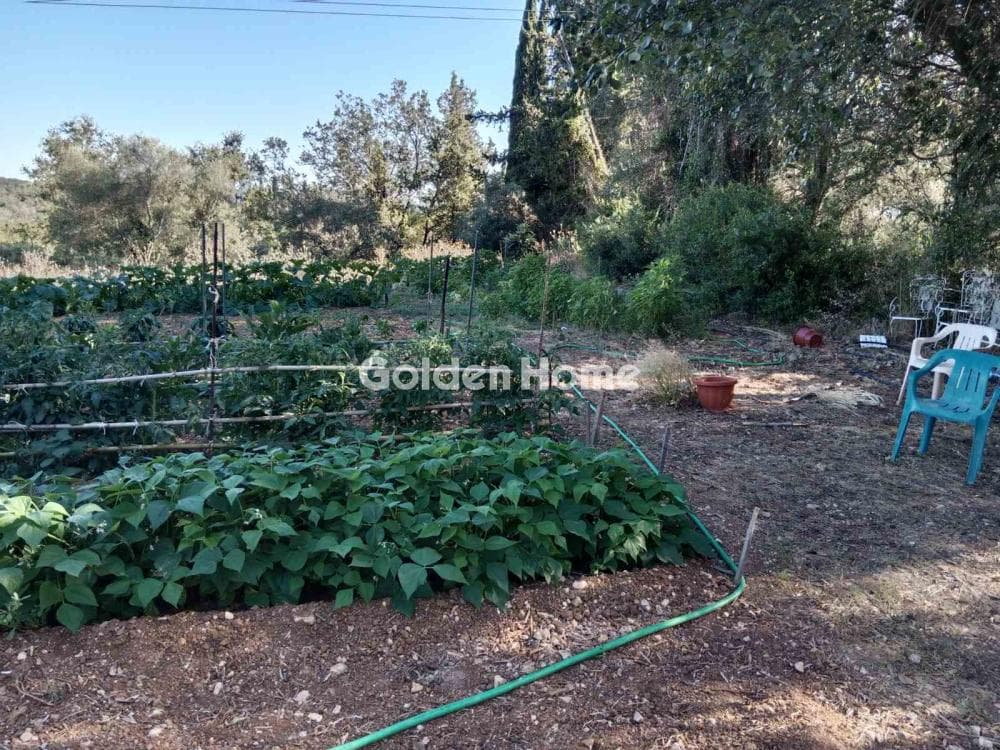 Οικόπεδο στην Φαίακες, Κέρκυρα — Φωτογραφία 16 από 18