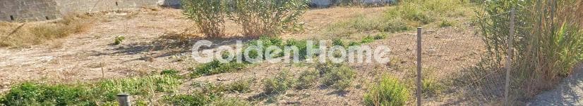 Building Plot in Profitis Ilias, Aegina — Photo 3 of 6