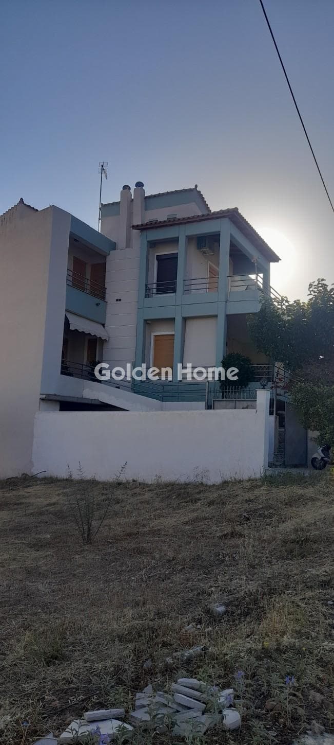 Building Plot in Tsami, Salamina — Photo 1 of 2