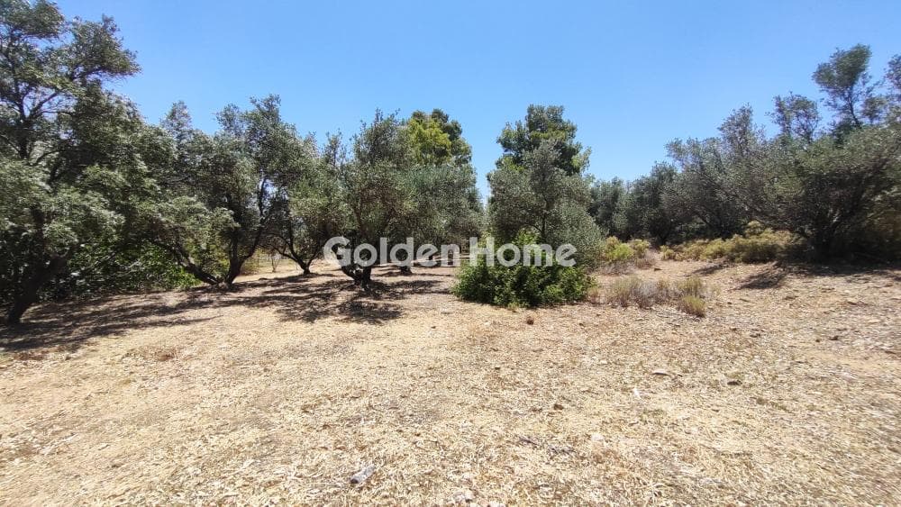 Αγροτεμάχιο στην Κάτω Χαρβάτι, Παλλήνη — Φωτογραφία 1 από 8