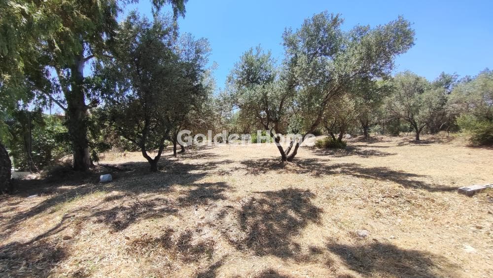 Αγροτεμάχιο στην Κάτω Χαρβάτι, Παλλήνη — Φωτογραφία 2 από 8