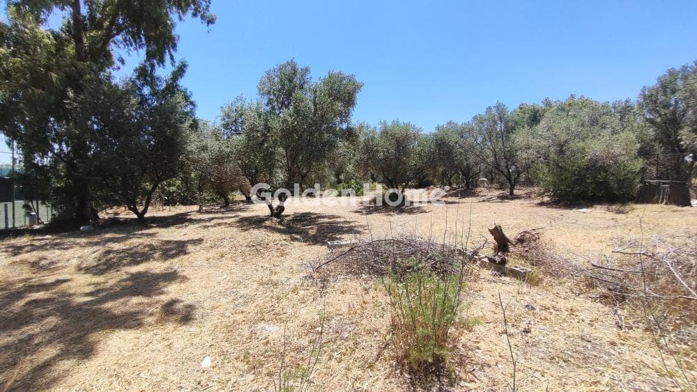 Αγροτεμάχιο στην Κάτω Χαρβάτι, Παλλήνη — Φωτογραφία 3 από 8