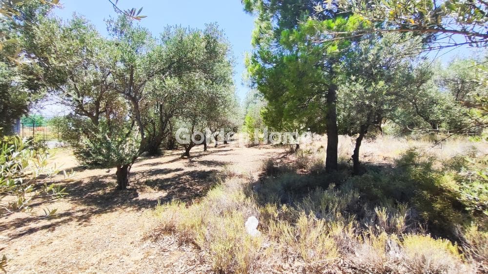 Αγροτεμάχιο στην Κάτω Χαρβάτι, Παλλήνη — Φωτογραφία 5 από 8