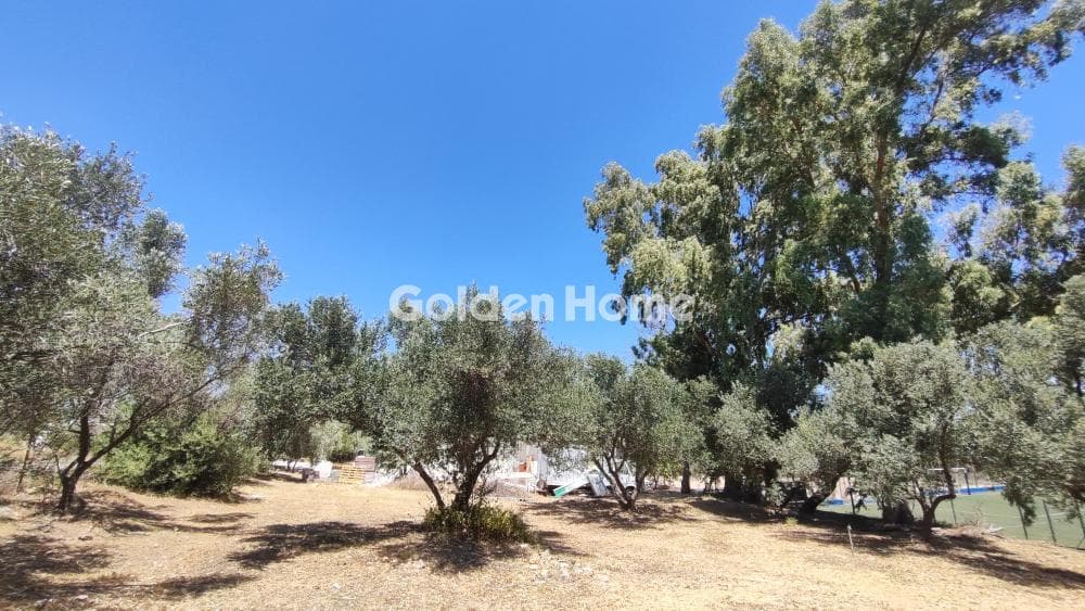 Αγροτεμάχιο στην Κάτω Χαρβάτι, Παλλήνη — Φωτογραφία 8 από 8