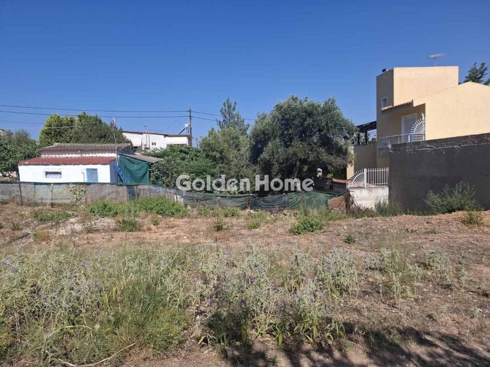 Building Plot in Resti, Salamina — Photo 2 of 4