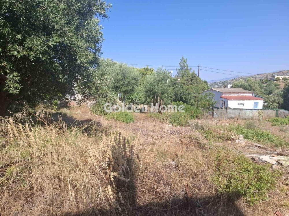 Building Plot in Resti, Salamina — Photo 4 of 4