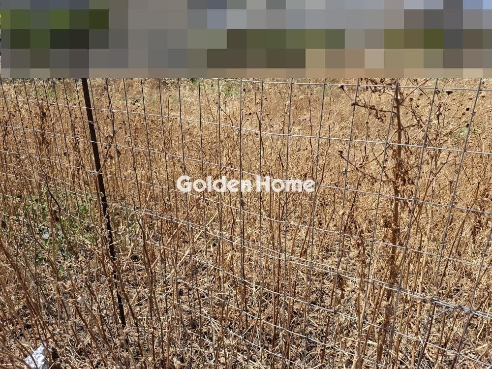Building Plot in Agioi Theodoroi, Gazi — Photo 1 of 2