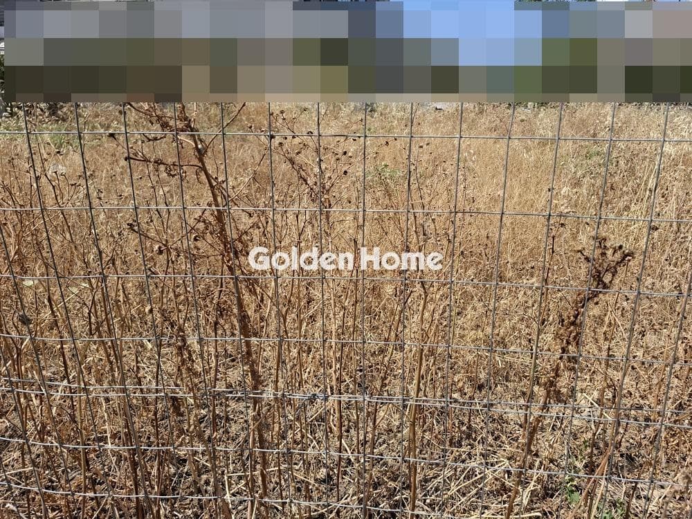 Building Plot in Agioi Theodoroi, Gazi — Photo 2 of 2