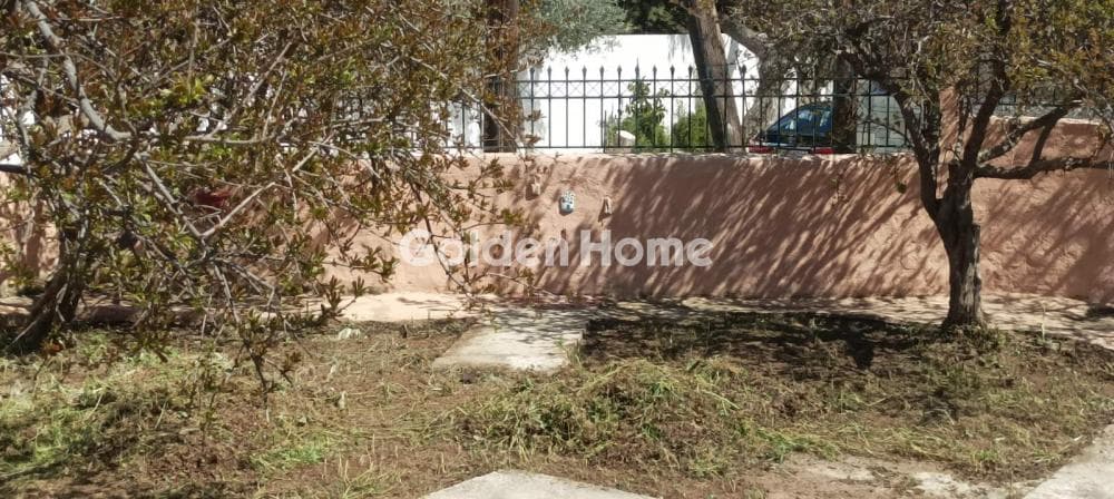 House in Aspro Lithari, Lavrio — Photo 30 of 42
