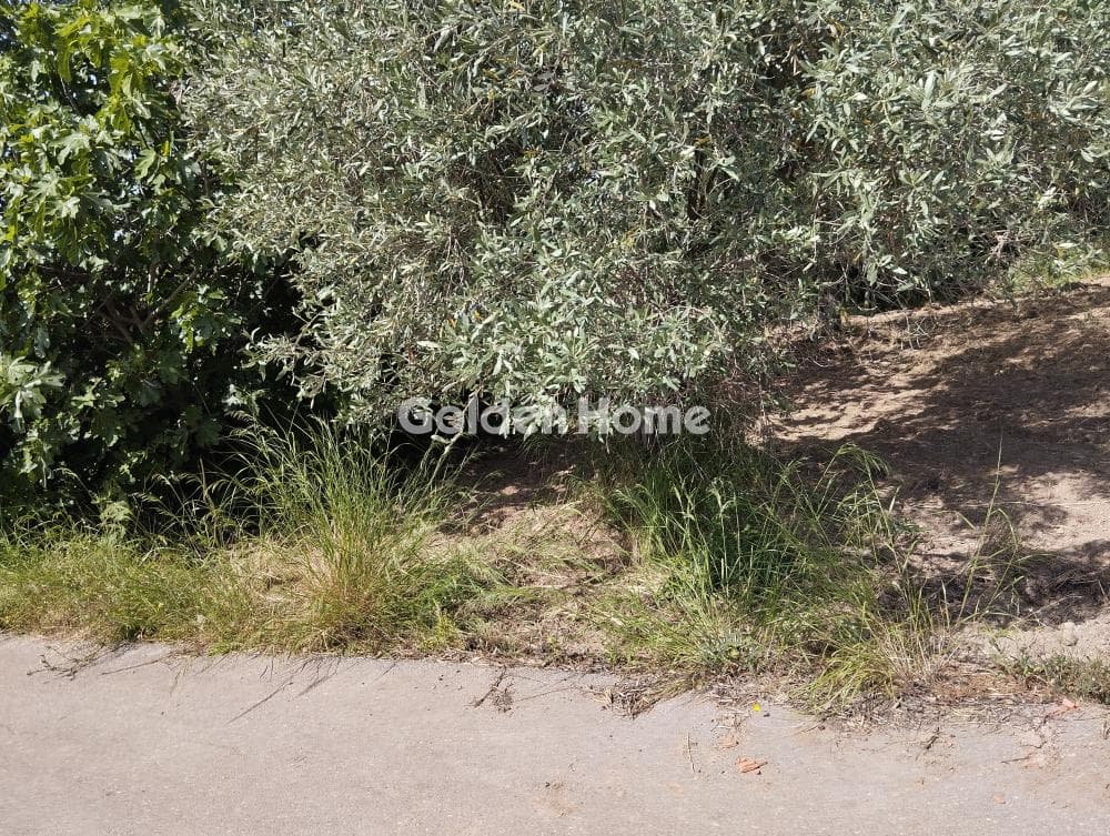 Αγροτεμάχιο στην Φούρεσι, Γλυκά Νερά — Φωτογραφία 3 από 5