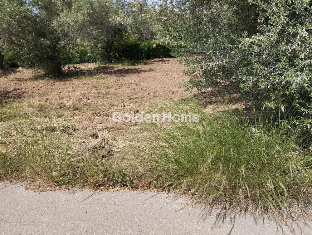 Αγροτεμάχιο στην Φούρεσι, Γλυκά Νερά — Φωτογραφία 4 από 5