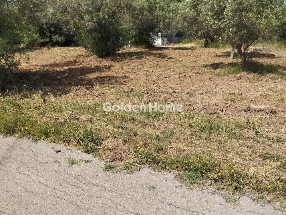 Αγροτεμάχιο στην Φούρεσι, Γλυκά Νερά — Φωτογραφία 5 από 5