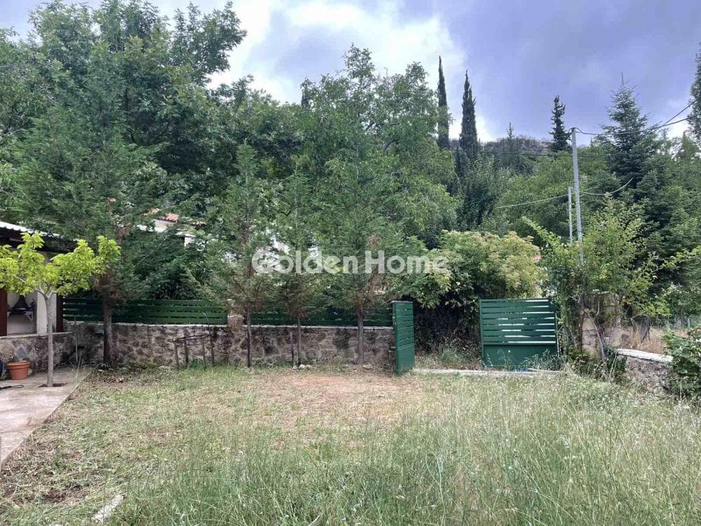Μονοκατοικία στην Λαγκαδαίικα, Ευρωστίνη — Φωτογραφία 2 από 17