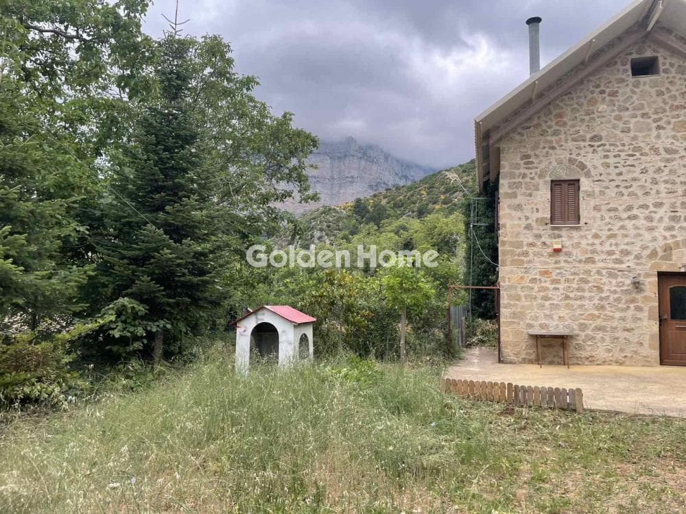 Μονοκατοικία στην Λαγκαδαίικα, Ευρωστίνη — Φωτογραφία 16 από 17