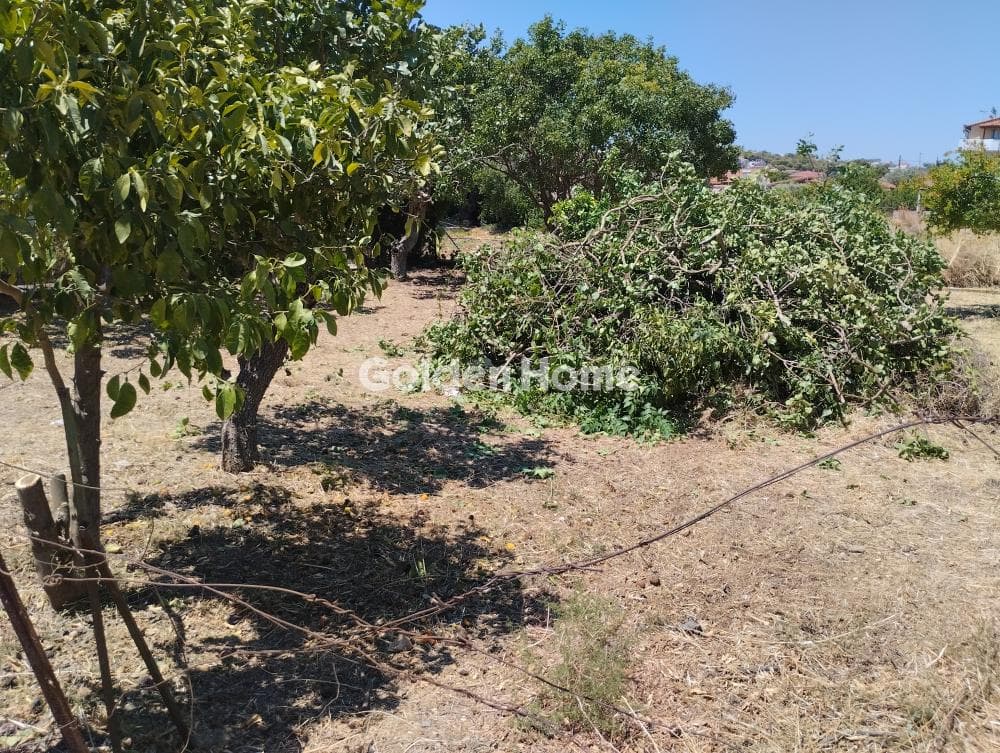 Building Plot in Porto Rafti, Vravrona — Photo 2 of 3