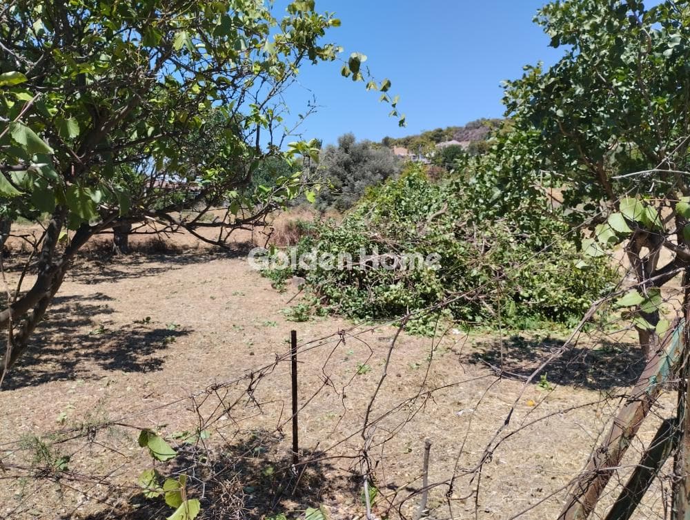 Building Plot in Porto Rafti, Vravrona — Photo 3 of 3