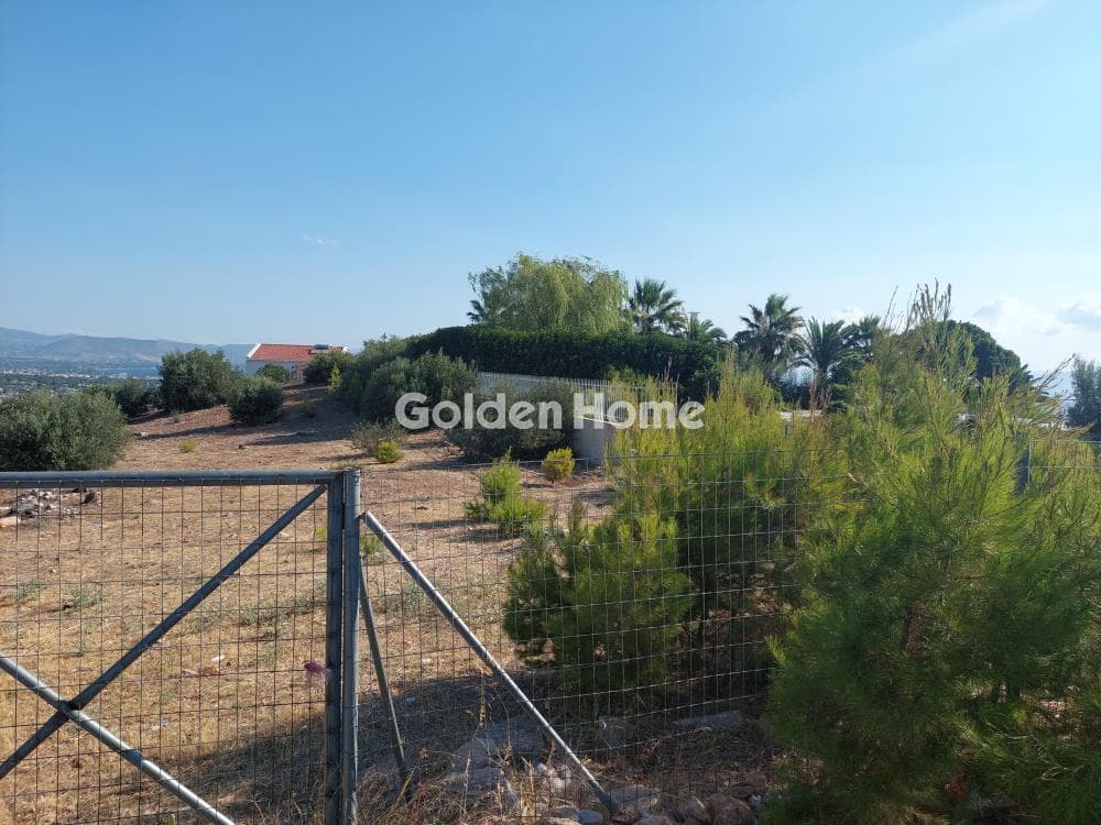 Building Plot in Neos Voutzas, Rafina — Photo 1 of 12
