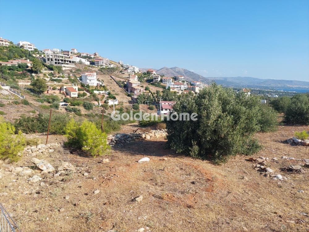 Building Plot in Neos Voutzas, Rafina — Photo 3 of 12