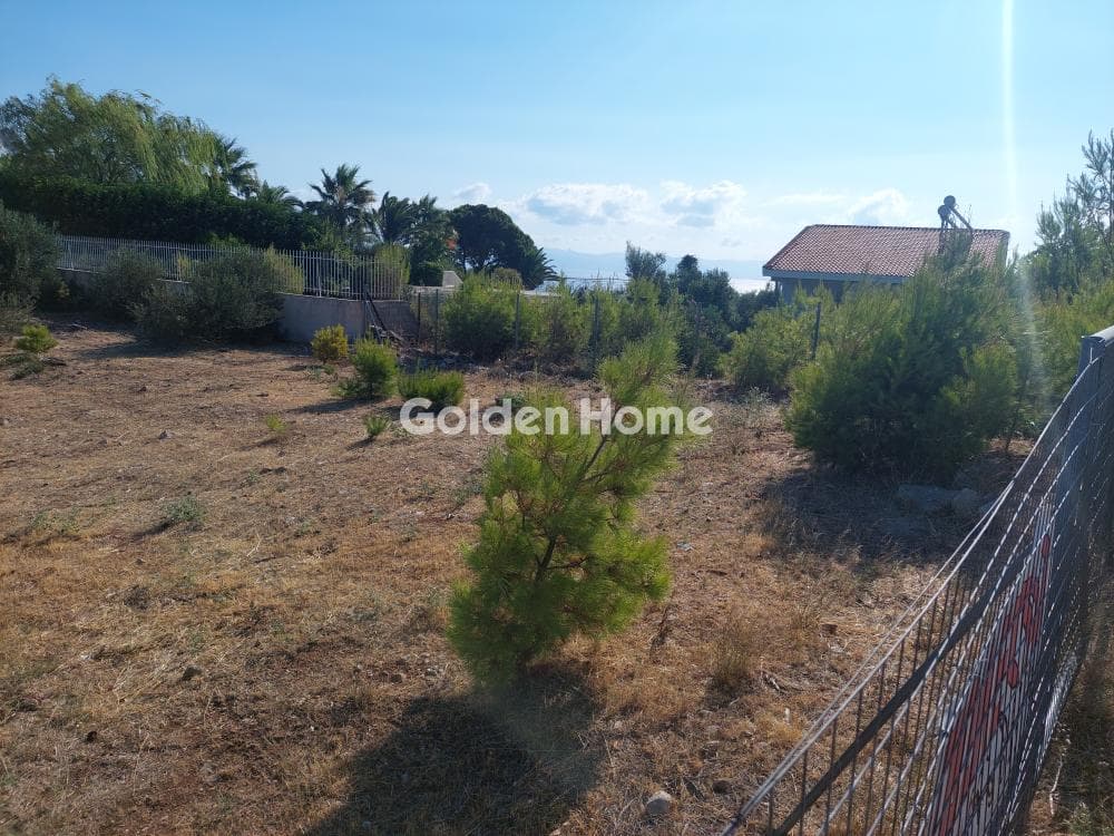 Building Plot in Neos Voutzas, Rafina — Photo 7 of 12