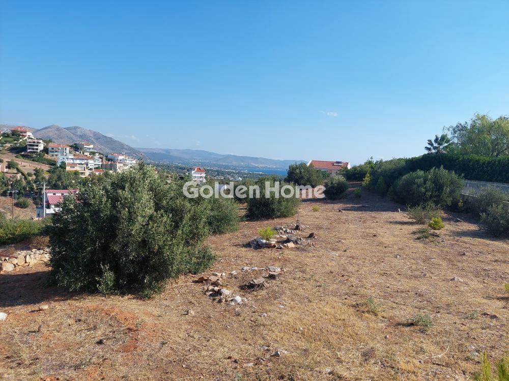 Building Plot in Neos Voutzas, Rafina — Photo 6 of 12
