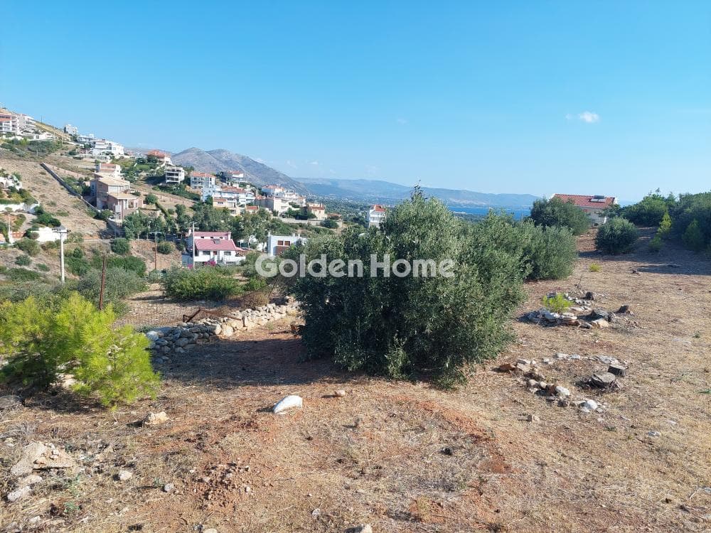 Building Plot in Neos Voutzas, Rafina — Photo 8 of 12