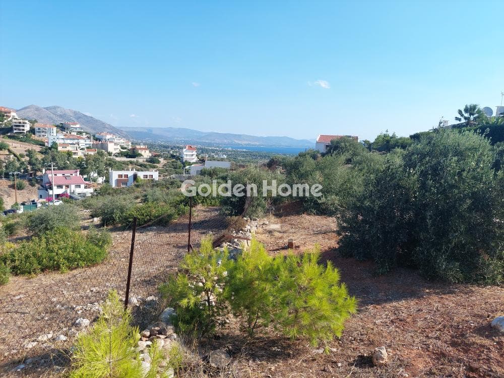 Building Plot in Neos Voutzas, Rafina — Photo 9 of 12