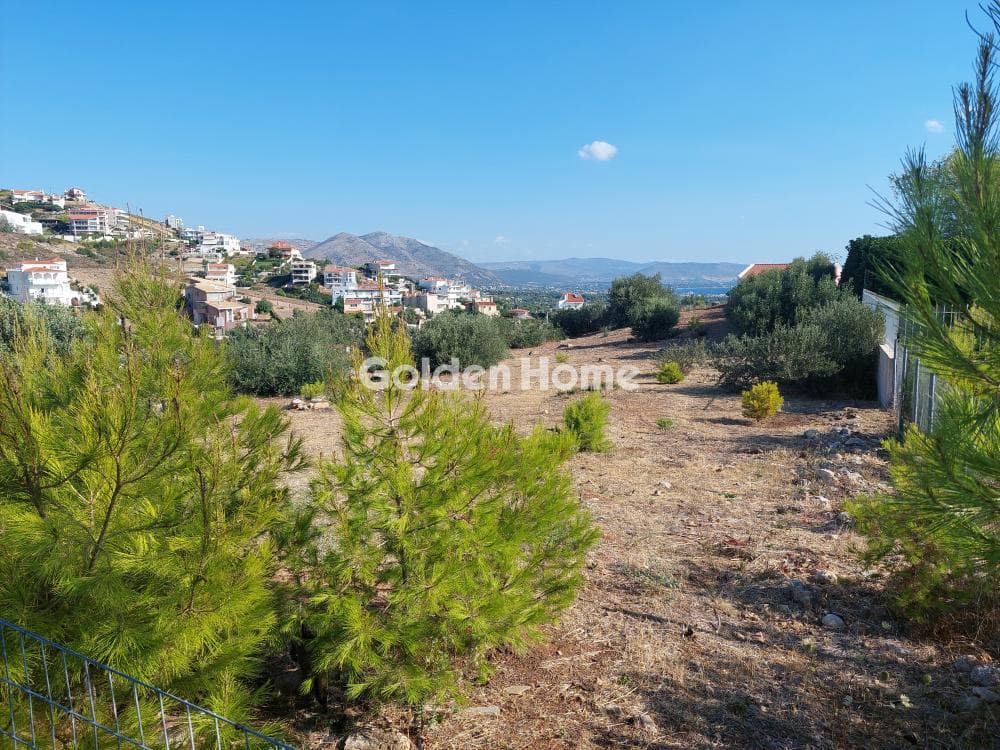 Building Plot in Neos Voutzas, Rafina — Photo 10 of 12
