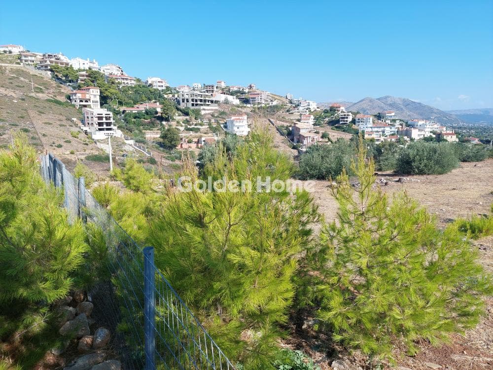 Building Plot in Neos Voutzas, Rafina — Photo 11 of 12