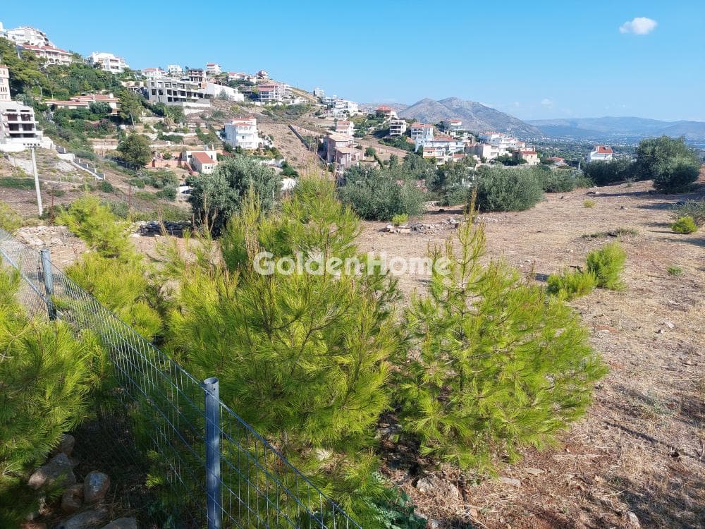 Building Plot in Neos Voutzas, Rafina — Photo 12 of 12