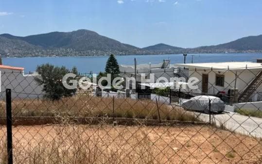Building Plot in Resti, Salamina — Photo 1 of 3