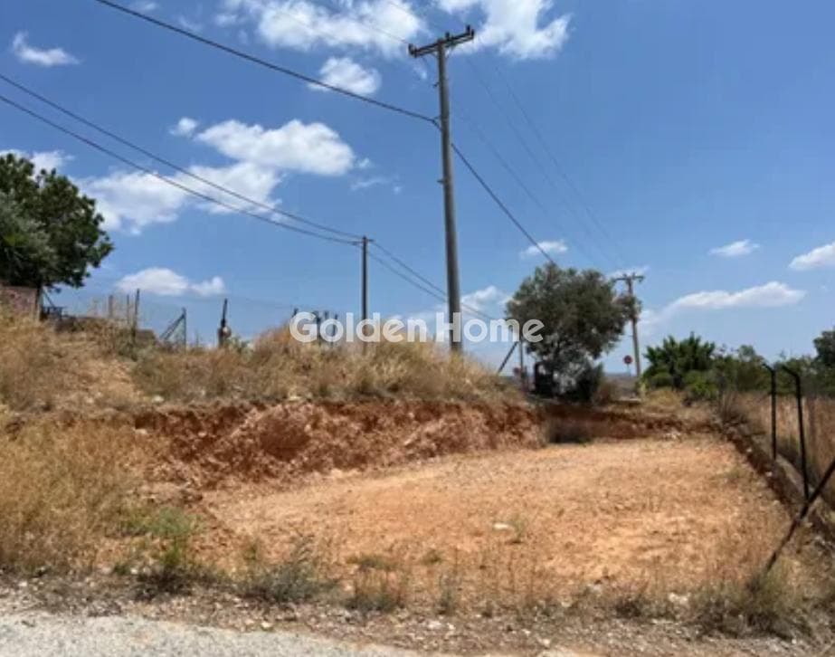 Building Plot in Resti, Salamina — Photo 2 of 3