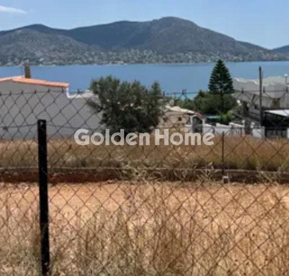 Building Plot in Resti, Salamina — Photo 3 of 3