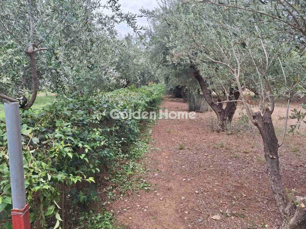 Οικόπεδο στην Κοκκινιά, Μαρούσι — Φωτογραφία 1 από 3